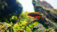 DSC00295.jpg DSC00295.jpg