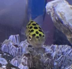 438ADB0B-45D0-4E96-B9AC-B9F679D32308.jpeg 438ADB0B-45D0-4E96-B9AC-B9F679D32308.jpeg