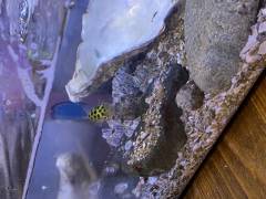 BA8C7B34-96FE-4E5E-929C-3498C9A663EB.jpeg BA8C7B34-96FE-4E5E-929C-3498C9A663EB.jpeg