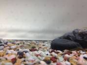 image2.jpg image2.jpg