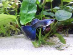 P4040541.jpg P4040541.jpg