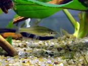 DSC00043.jpg DSC00043.jpg