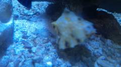 141101_191811.jpg 141101_191811.jpg