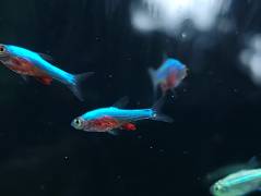 20210425_101254.jpg 20210425_101254.jpg