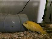 image.jpeg image.jpeg