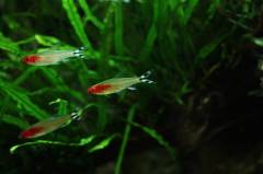 20150609-3.jpg 20150609-3.jpg