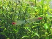 image_0.jpg image_0.jpg