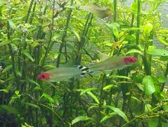 image_0.jpg image_0.jpg