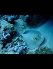 downloadfile-5.jpeg downloadfile-5.jpeg