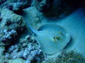 downloadfile-5_k.jpg downloadfile-5_k.jpg