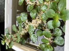 4C50B7BC-8316-4C4A-8879-2A4906939293.jpeg 4C50B7BC-8316-4C4A-8879-2A4906939293.jpeg