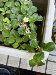 E22A0538-E77C-46C8-97E5-8D9310D14775.jpeg E22A0538-E77C-46C8-97E5-8D9310D14775.jpeg