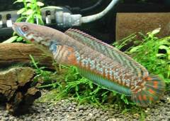 image_0.jpg image_0.jpg