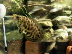 IMG_20190206_230103.jpg IMG_20190206_230103.jpg