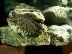 IMG_20190206_230118.jpg IMG_20190206_230118.jpg