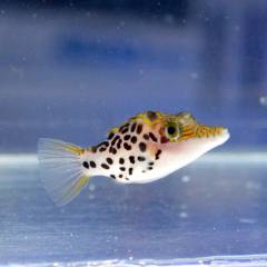 001のコピー.jpg 001のコピー.jpg