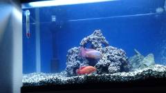 1460470194860-398813045.jpg 1460470194860-398813045.jpg