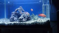 14604702755411945526588.jpg 14604702755411945526588.jpg