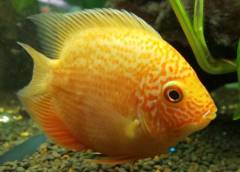 IMG_20190112_211640.jpg IMG_20190112_211640.jpg