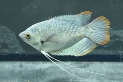 EBIXhPbVAAAzHgc.jpg EBIXhPbVAAAzHgc.jpg