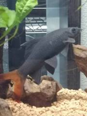 IMG_20210925_100833.jpg IMG_20210925_100833.jpg