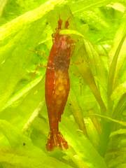 AA886E11-179E-4829-833A-F3AE4D1B6077.jpeg AA886E11-179E-4829-833A-F3AE4D1B6077.jpeg