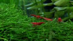 DSC_0155.jpg DSC_0155.jpg