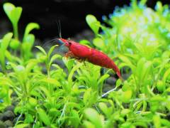 FB_IMG_1551178130357.jpg FB_IMG_1551178130357.jpg