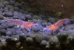 image.jpeg image.jpeg