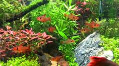 レッドファントム1.jpg レッドファントム1.jpg