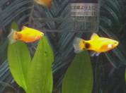 image2.jpg image2.jpg