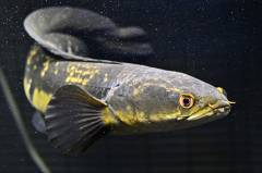 Ev9ui6GVoAQHJpd.jpg Ev9ui6GVoAQHJpd.jpg