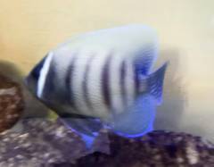 IMG_20220718_213834_489~2.jpg IMG_20220718_213834_489~2.jpg