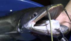 screenshot.12.jpg screenshot.12.jpg