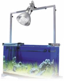 Lighting_Back2-2.jpg Lighting_Back2-2.jpg