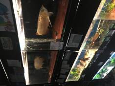 20910E5A-F9B4-4F32-8754-C29CA735A35D.jpeg 20910E5A-F9B4-4F32-8754-C29CA735A35D.jpeg