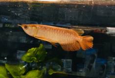 BFE48406-C0D5-4C8B-92F9-26D6A750B6FE.jpeg BFE48406-C0D5-4C8B-92F9-26D6A750B6FE.jpeg