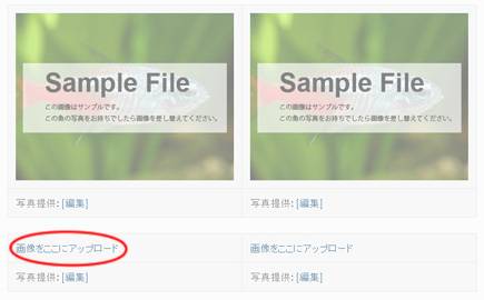 画像をここにアップロード 画像をここにアップロード