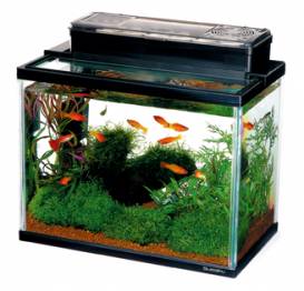 img003.jpg img003.jpg