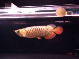 image.jpeg image.jpeg