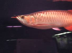 image_0.jpeg image_0.jpeg