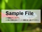 samplefile.jpg samplefile.jpg