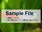 samplefile.jpg samplefile.jpg