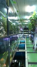 130320_1210%7E010001.jpg 130320_1210%7E010001.jpg