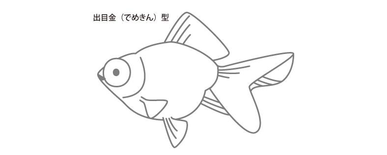 demekin.png demekin.png