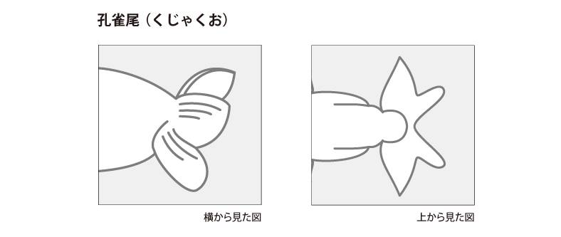 kuzyakuo.png kuzyakuo.png