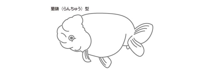 rantyu.png rantyu.png