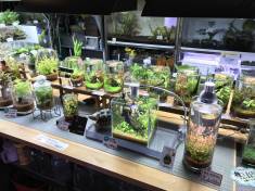 BAA5E700-543E-4BE0-8639-06C2BF97A589.jpeg BAA5E700-543E-4BE0-8639-06C2BF97A589.jpeg