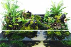 nitg_aj294-09.jpg nitg_aj294-09.jpg