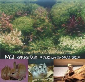 第5回 - コピー.png 第5回 - コピー.png